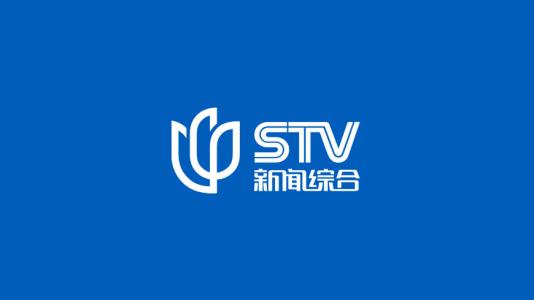 2024年正版资料免费大全中特解析：权威释义防骗指南与管家婆新版更新 - 上海磊诚实业提醒